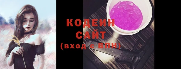 крисы Абаза