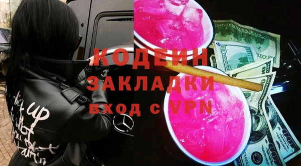 крисы Абаза