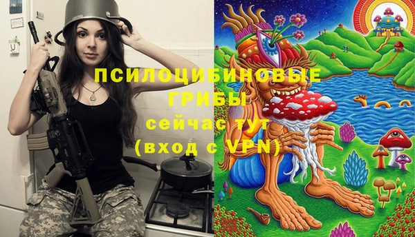 крисы Абаза