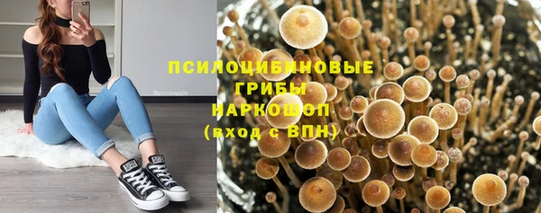 тгк Абинск
