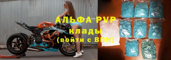 крисы Абаза