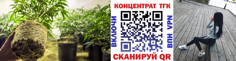 kraken ONION  где можно купить   Ялуторовск  ТГК вейп с тгк 