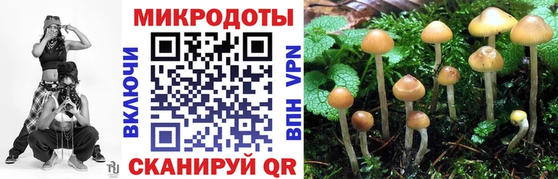 shop какой сайт  Ялуторовск  Галлюциногенные грибы GOLDEN TEACHER 